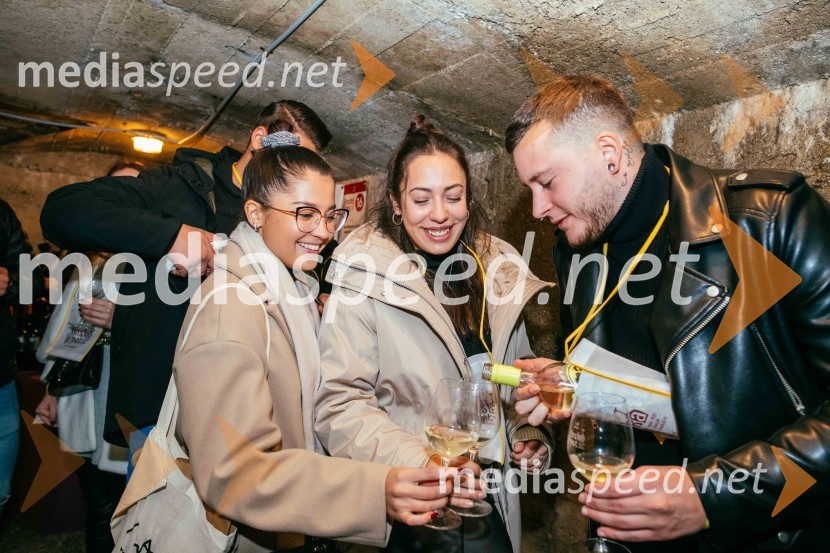 Vinska pot v rovih pod starim Kranjem 2022, sobota