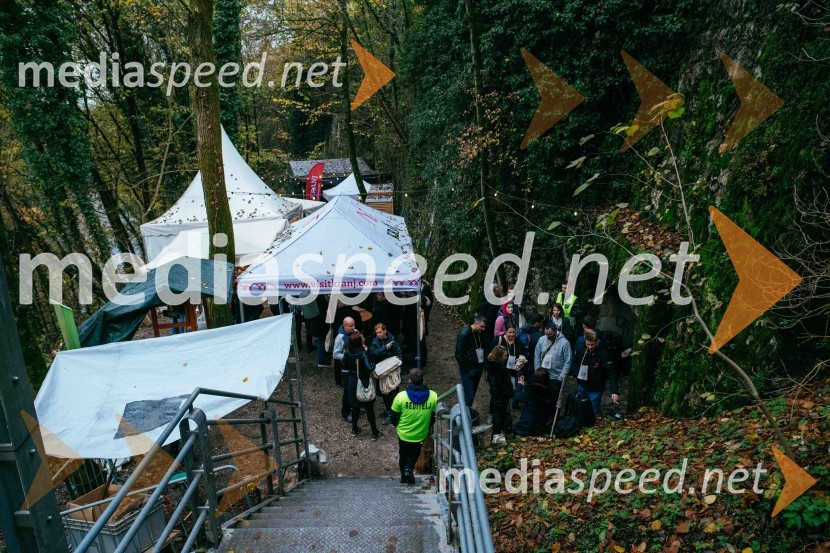 Vinska pot v rovih pod starim Kranjem 2022, sobota