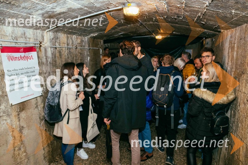 Vinska pot v rovih pod starim Kranjem 2022, sobota