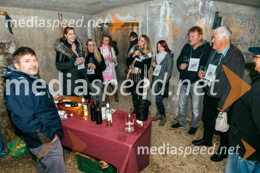 Vinska pot v rovih pod starim Kranjem 2022, sobota