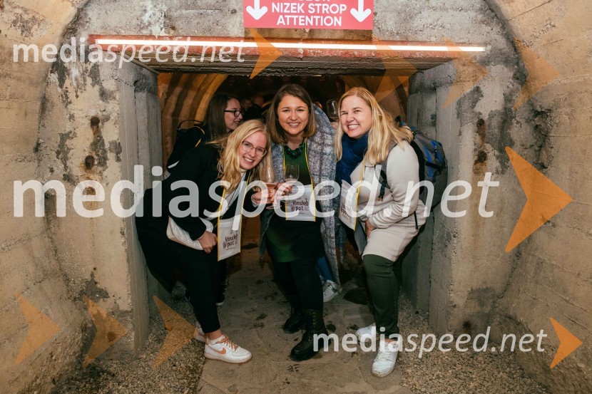 Vinska pot v rovih pod starim Kranjem 2022, sobota