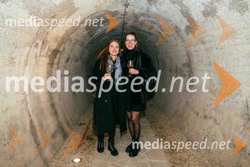 Vinska pot v rovih pod starim Kranjem 2022, sobota