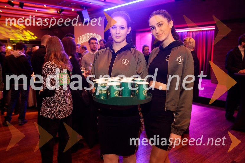 33. LIFFE, zaključek ljubljanskega mednarodnega filmskega festivala