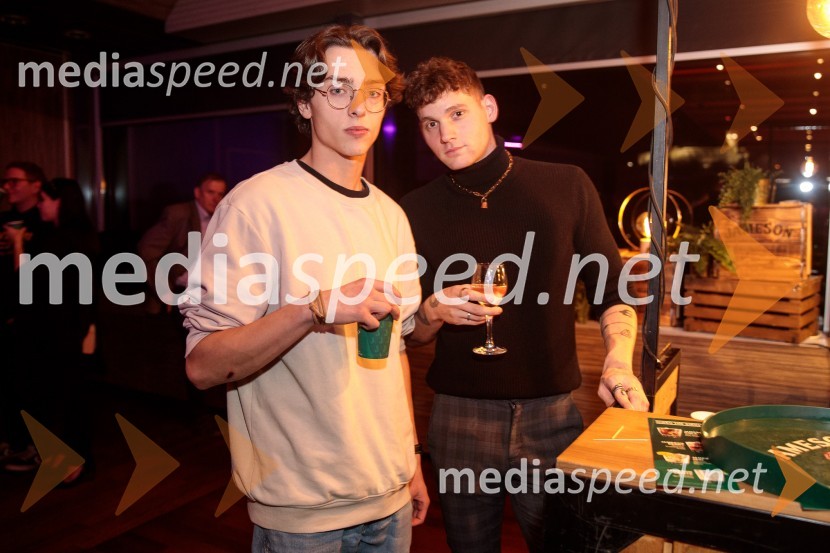 33. LIFFE, zaključek ljubljanskega mednarodnega filmskega festivala