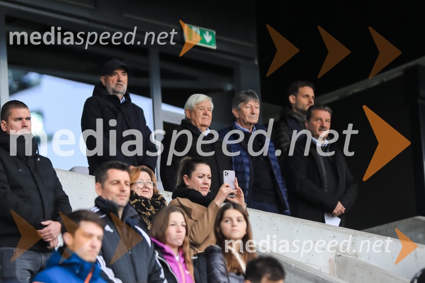 Nogometna tekma Slovenija - Črna gora