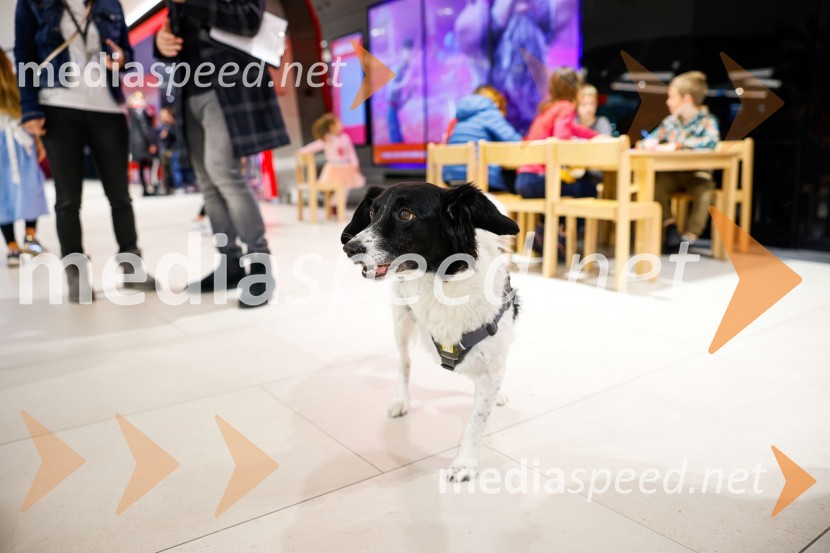 Čudežni svet, premiera animiranega filma v Cineplexx