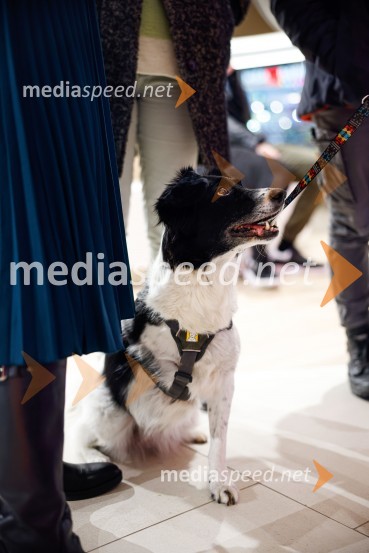 Čudežni svet, premiera animiranega filma v Cineplexx