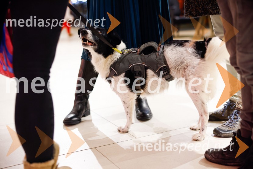 Čudežni svet, premiera animiranega filma v Cineplexx