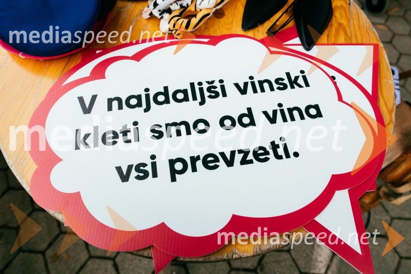 Vinska pot v rovih pod starim Kranjem 2022, petek 2