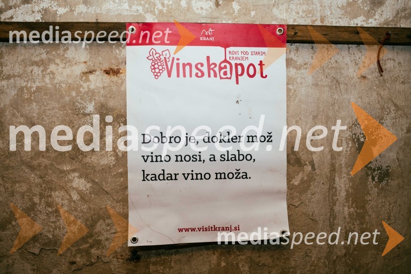 Vinska pot v rovih pod starim Kranjem 2022, petek 2