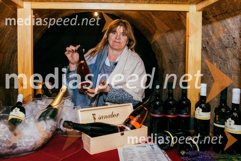 Vinska pot v rovih pod starim Kranjem 2022, petek 2