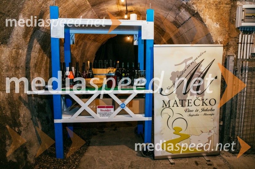 Vinska pot v rovih pod starim Kranjem 2022, petek 2