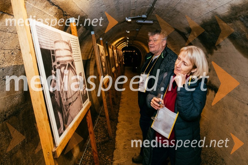 Vinska pot v rovih pod starim Kranjem 2022, petek 2