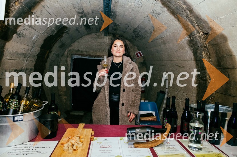 Vinska pot v rovih pod starim Kranjem 2022, petek 2