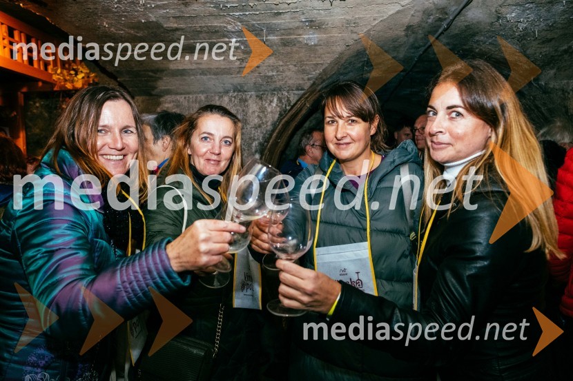 Vinska pot v rovih pod starim Kranjem 2022, petek 2