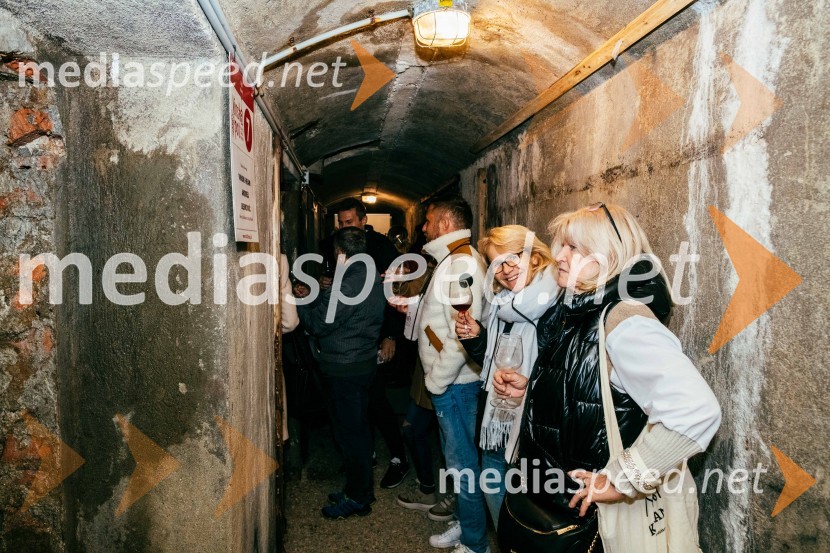 Vinska pot v rovih pod starim Kranjem 2022, petek 2