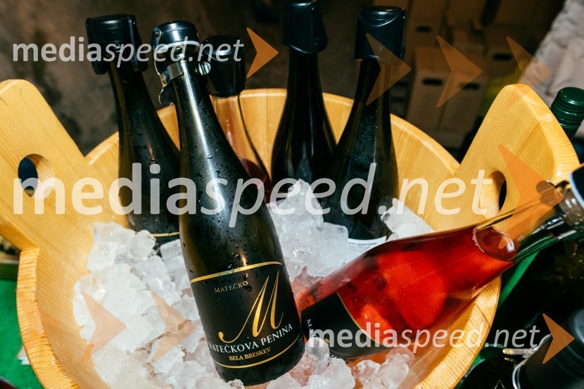 Vina MatečkoVinska pot v rovih pod starim Kranjem 2022, sobota 2