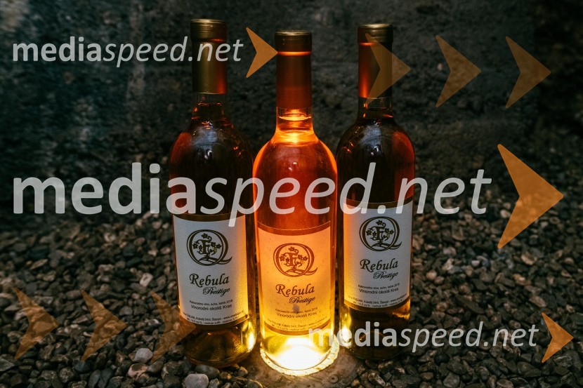 Vinska pot v rovih pod starim Kranjem 2022, sobota 2