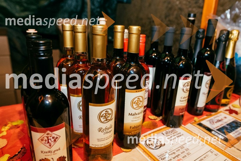 Vinska pot v rovih pod starim Kranjem 2022, sobota 2