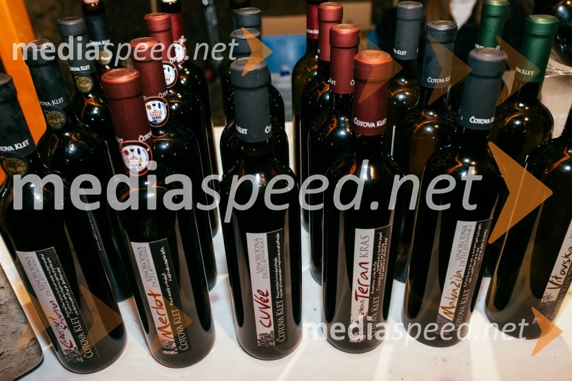 Vinska pot v rovih pod starim Kranjem 2022, sobota 2