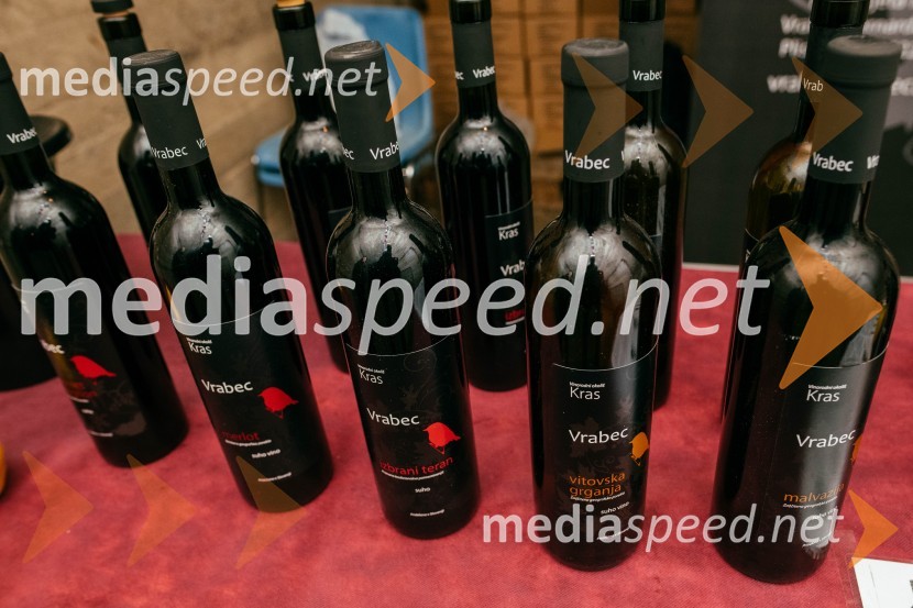 Vinska pot v rovih pod starim Kranjem 2022, sobota 2