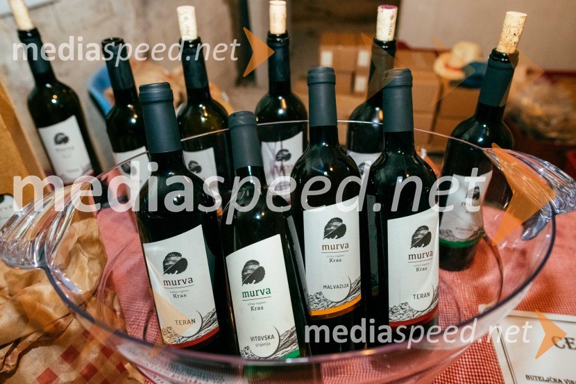 Vinska pot v rovih pod starim Kranjem 2022, sobota 2