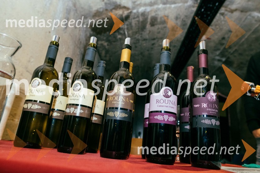 Posestvo RounaVinska pot v rovih pod starim Kranjem 2022, sobota 2