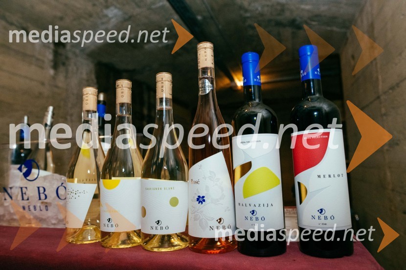 Vinska pot v rovih pod starim Kranjem 2022, sobota 2