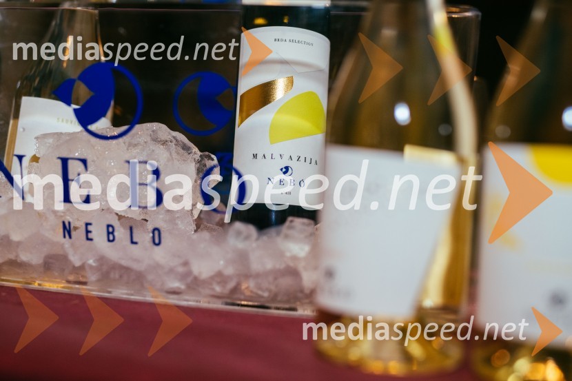 Vinska pot v rovih pod starim Kranjem 2022, sobota 2