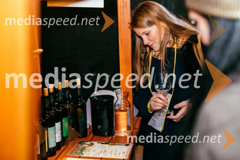 Vinska pot v rovih pod starim Kranjem 2022, sobota 2