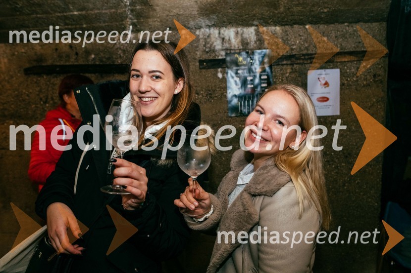 Vinska pot v rovih pod starim Kranjem 2022, sobota 2