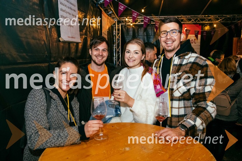 Vinska pot v rovih pod starim Kranjem 2022, sobota 2