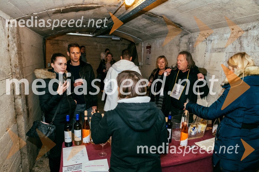 Vinska pot v rovih pod starim Kranjem 2022, sobota 2