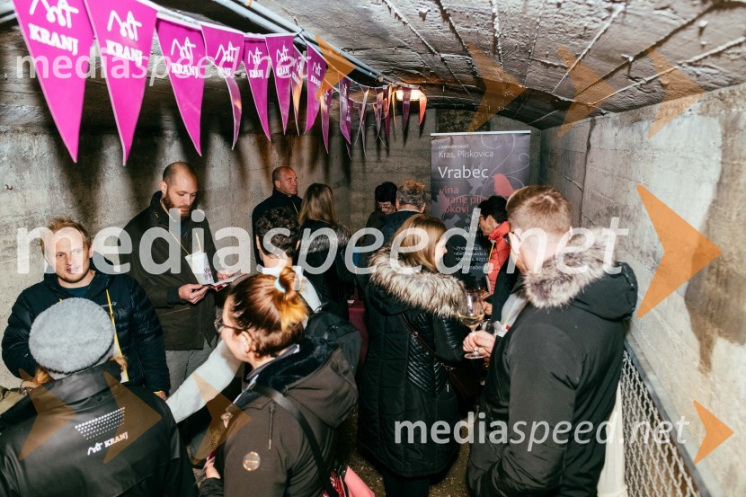 Vinska pot v rovih pod starim Kranjem 2022, sobota 2