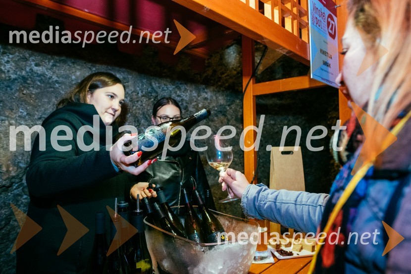 Vinska pot v rovih pod starim Kranjem 2022, sobota 2