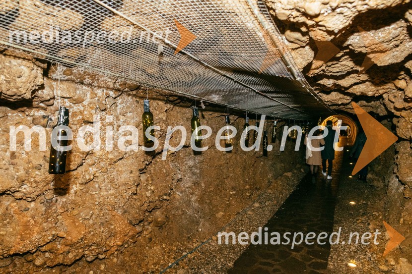 Vinska pot v rovih pod starim Kranjem 2022, sobota 2