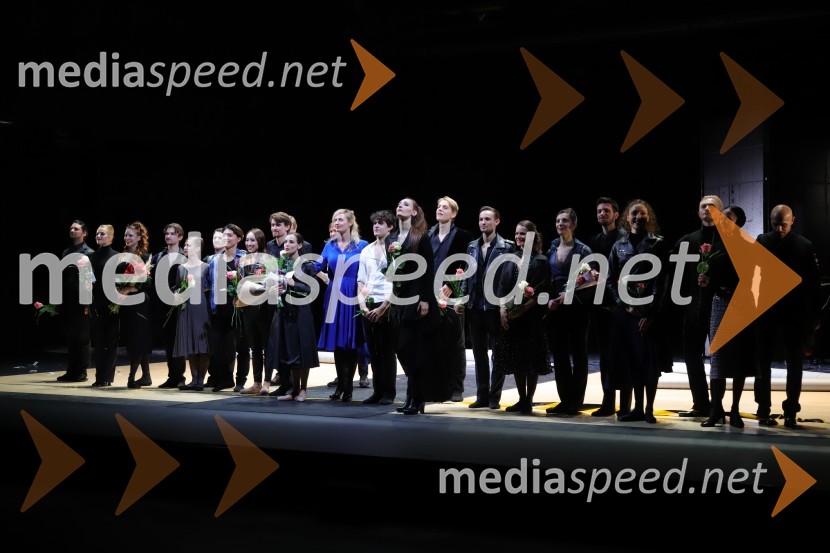 Madame Bovary, premiera baleta v SNG Maribor