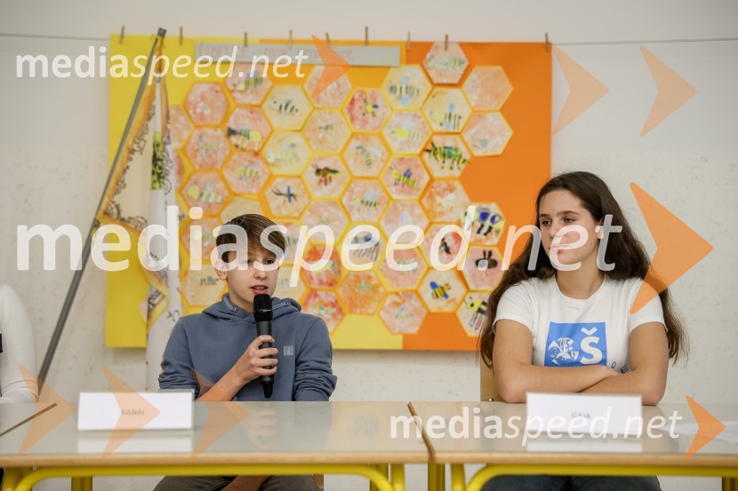 Predstavitev pametne razsvetljave na OŠ Predoslje v Kranju