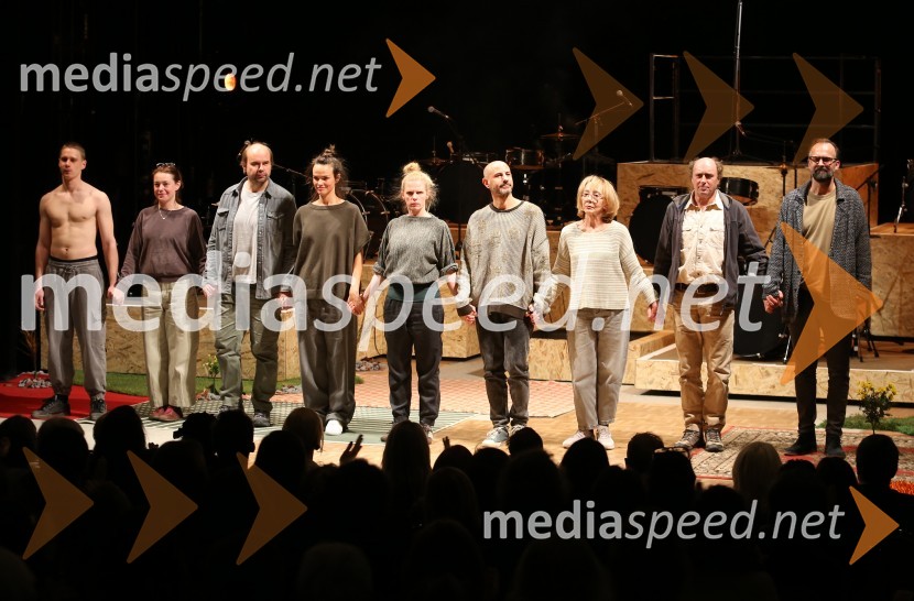  Timon Šturbej, igralec;  Nina Ivanišin Janežič, igralka;  Gregor Zorc, igralec;  Tina Vrbnjak, igralka;  Maruša Majer, igralka;  Iztok Drabik Jug, igralec;  Silva Čušin Povše, dramska igralka;  Janez Škof, igralec;  Uroš Fürst, igralecKako je padlo drevo, premiera drame