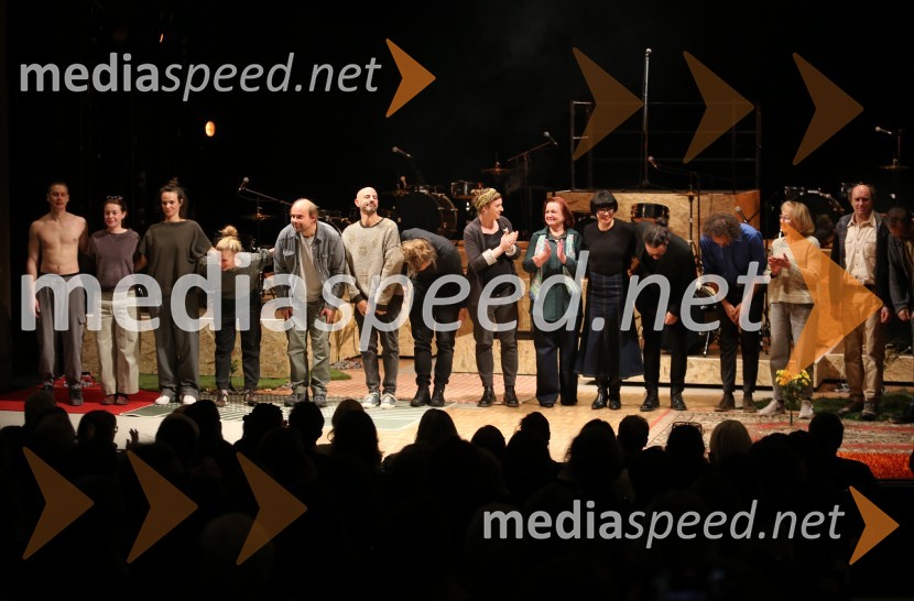  Timon Šturbej, igralec;  Nina Ivanišin Janežič, igralka;  Tina Vrbnjak, igralka;  Maruša Majer, igralka;  Gregor Zorc, igralec;  Iztok Drabik Jug, igralec;  Žiga  Divjak, režiser;  Katarina Morano, režiserka, dramaturginja;  Tatjana Stanič, lektorica;  Tina Pavlović, kostumografinja;  Blaž Gracar;  Marjan Stanić, glasbenik, OjgeN;  Silva Čušin Povše, dramska igralka;  Janez Škof, igralecKako je padlo drevo, premiera drame