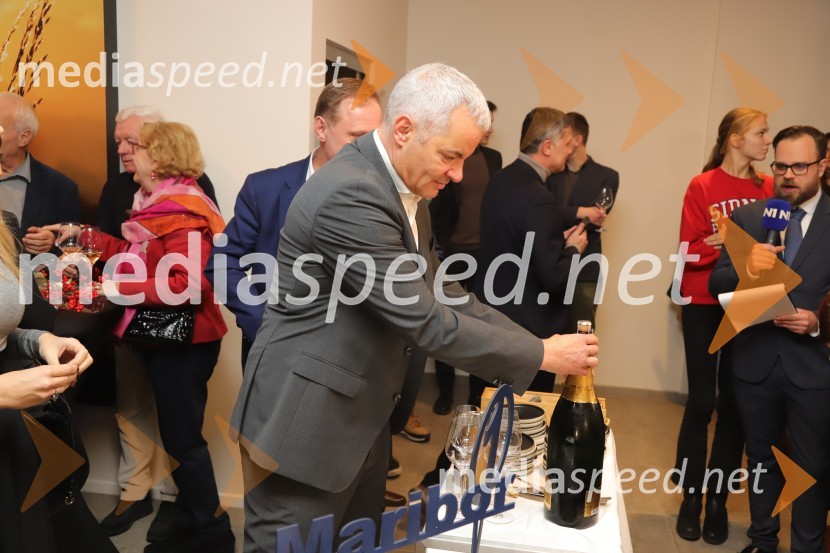  Aleksander Saša Arsenovič, župan, Mestna občina MariborSaša Arsenovič nadaljuje županski mandat v Mariboru