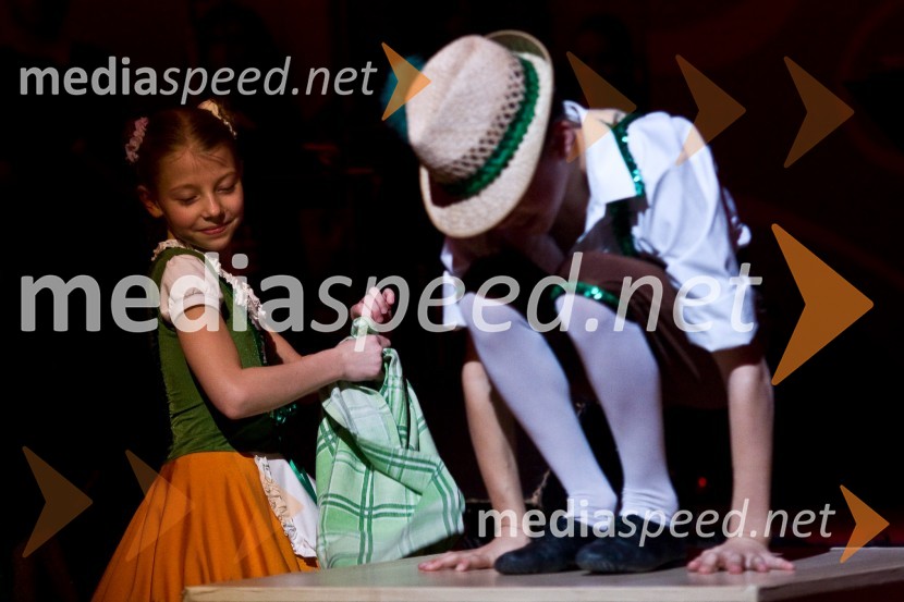 Nastop plesalcev Plesne šole KazinaVeliki rotarijski ples 2009