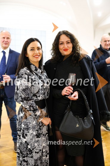 Odprtje razstave Neznosna lahkost bivanja v Galeriji Miklova hiša