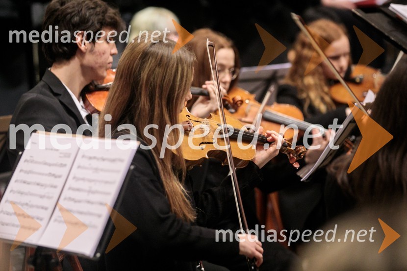 Slavnostni božični koncert Slovenskega in Britanskega parlamentarnega zbora