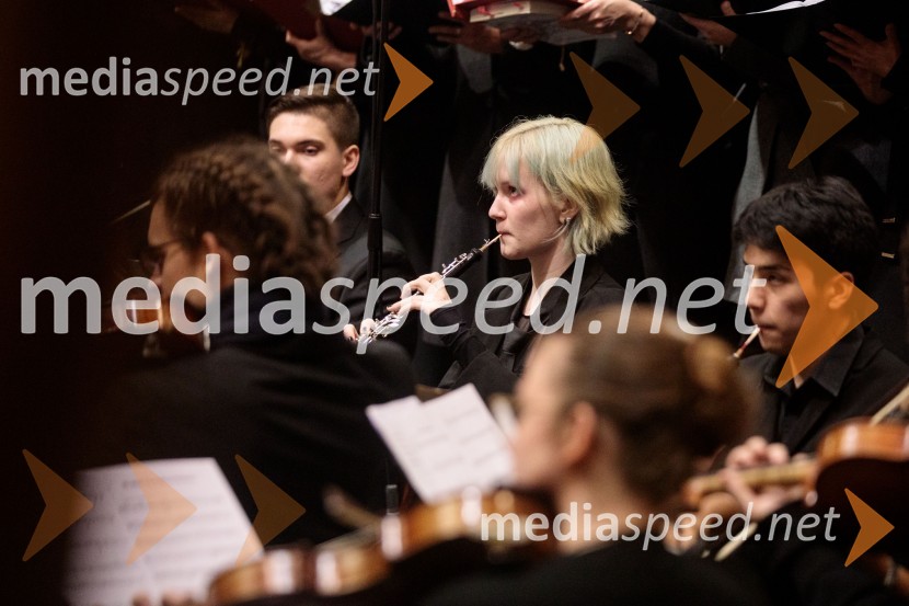 Slavnostni božični koncert Slovenskega in Britanskega parlamentarnega zbora