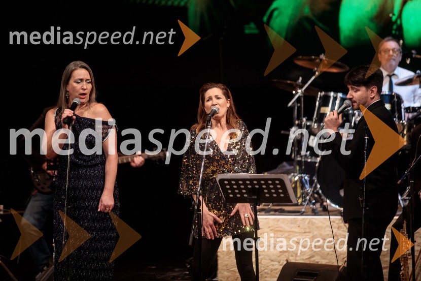  Nina Valič, igralka;  Sabina  Kogovšek, igralka;  Saša Tabaković, igralec, nekdanji poslanec SMCMojih 5 minut je danes, dobrodelni koncert za Sklad Jerneja Šugmana