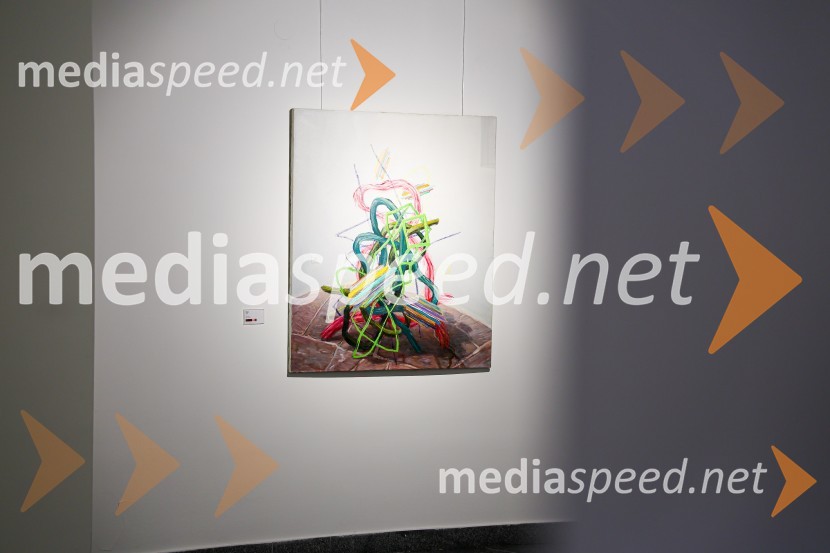 Odprtje razstave Roberta Lozarja v Generali galeriji