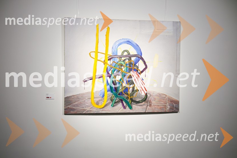 Odprtje razstave Roberta Lozarja v Generali galeriji