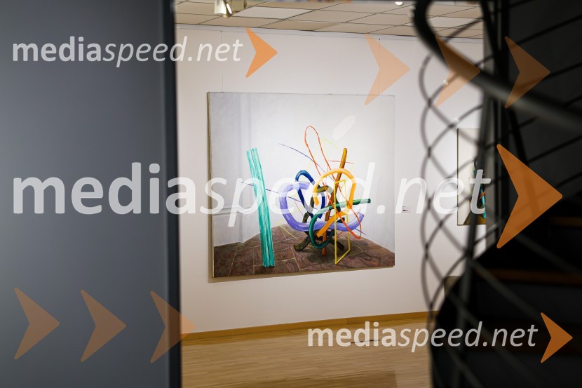 Odprtje razstave Roberta Lozarja v Generali galeriji