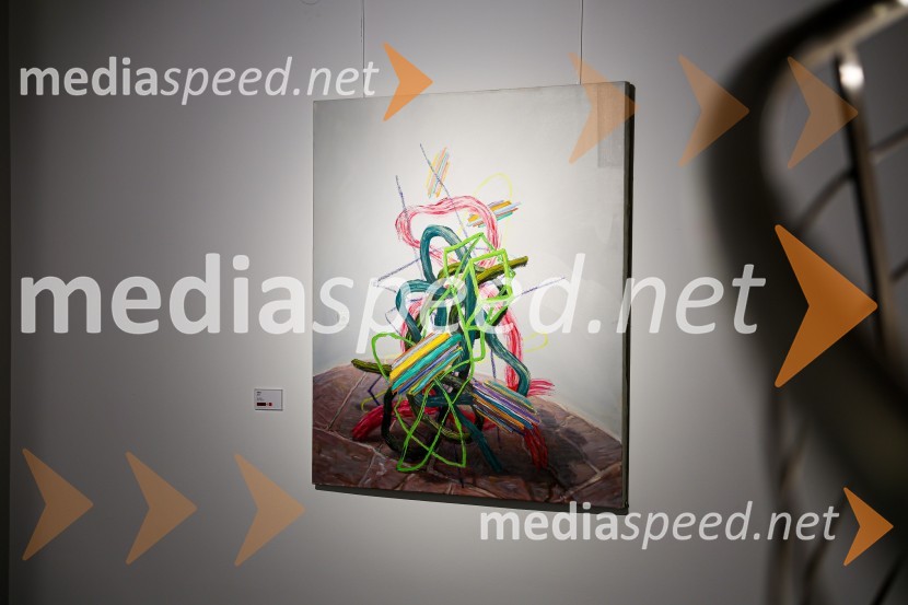Odprtje razstave Roberta Lozarja v Generali galeriji